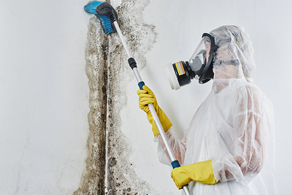 Jak usunąć pleśń ze ściany?