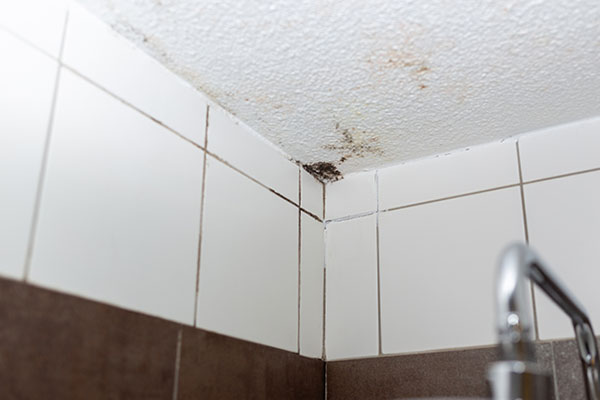 Pleśń na ścianie w łazience