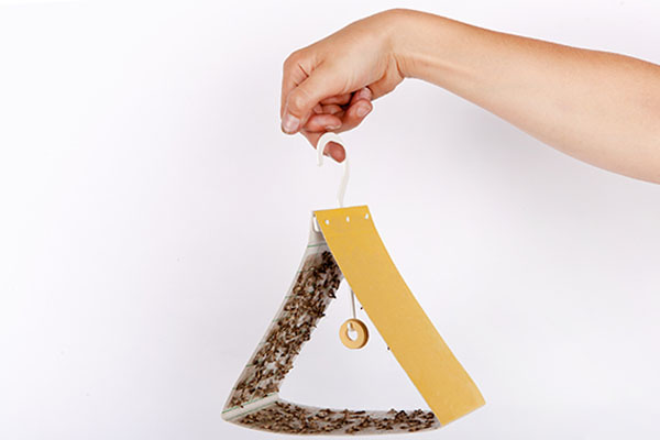 Pułapka na mole spożywcze i żywieniowe