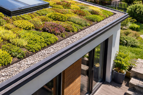 Zielony dach ekstensywny na dachu płaskim